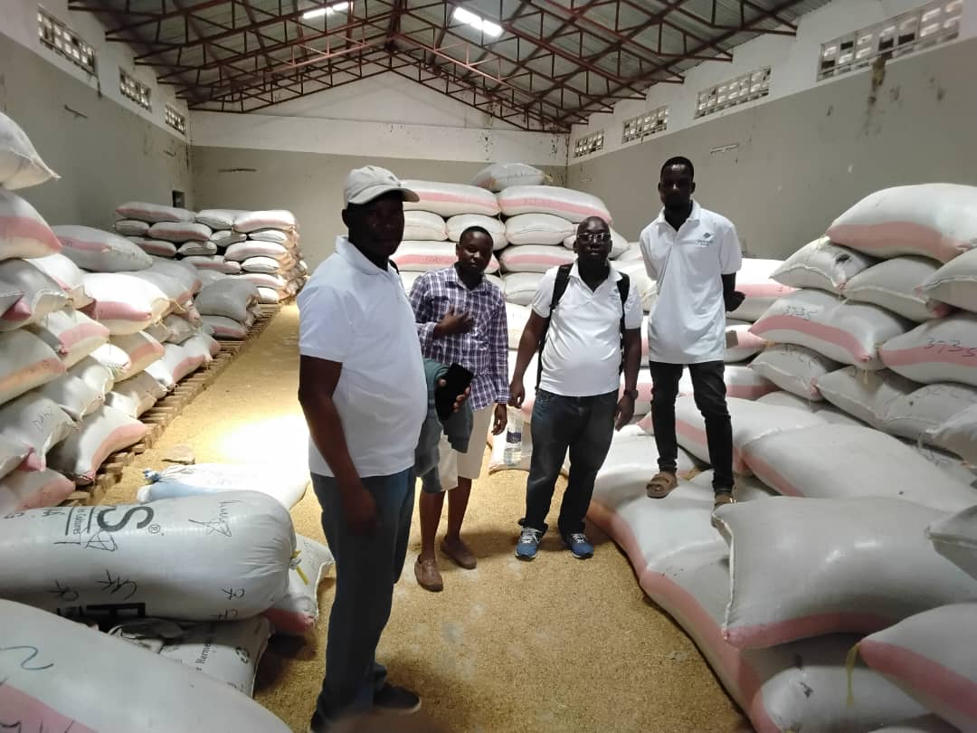 Supporting Cashew Farmers Through Warehouse Receipt Financing