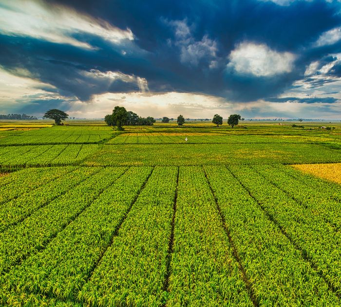 Farmers & entrepreneurs